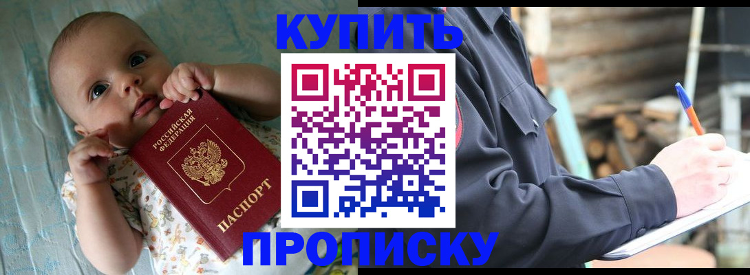прописка поиск в Грозном